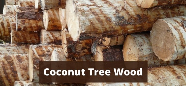 Coconut Tree Wood