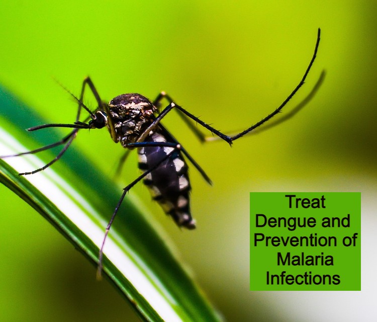 Treat Dengue and Prevention of Malaria Infections